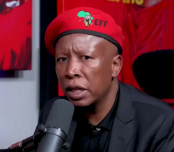 Uzogwetshwa ngonyaka ozayo uMalema