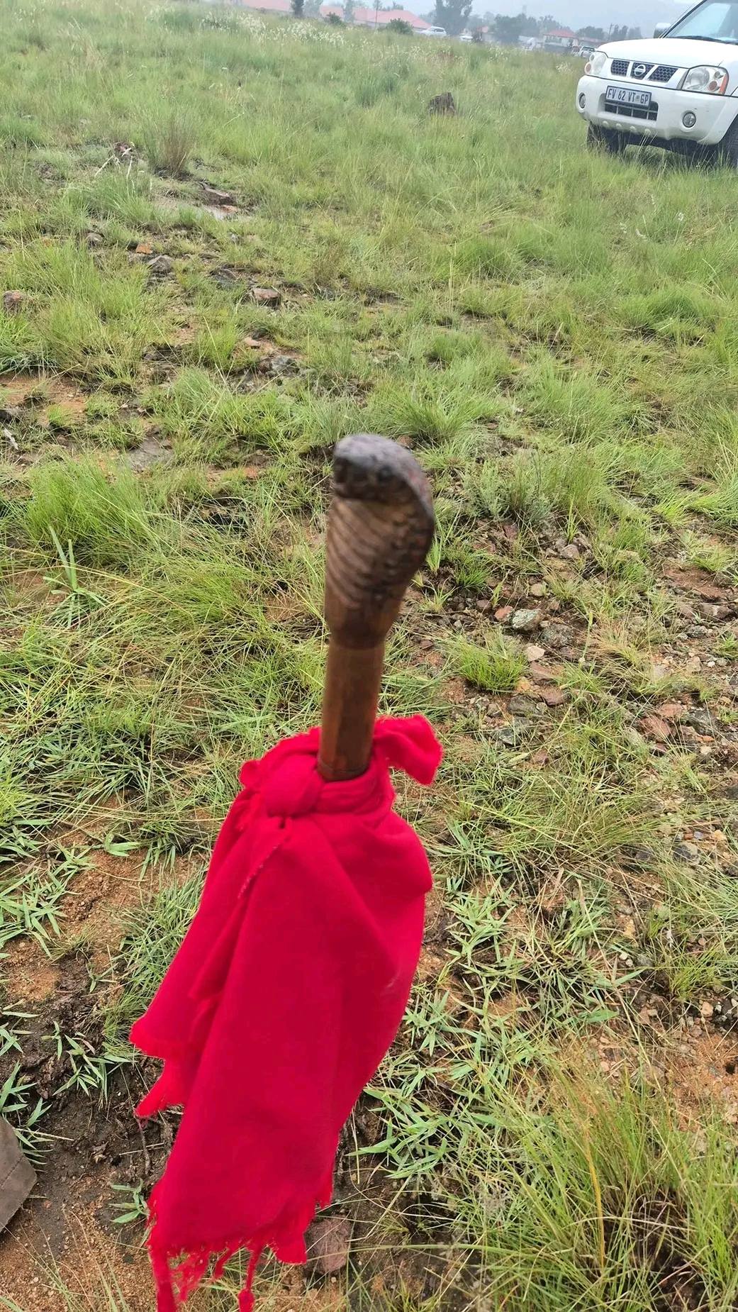 Kushone isangoma emgedeni waseHeidelberg