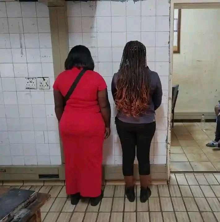 Abokufika babanjwe nemishanguzo